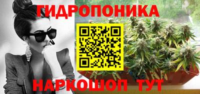соль ск Новодвинск