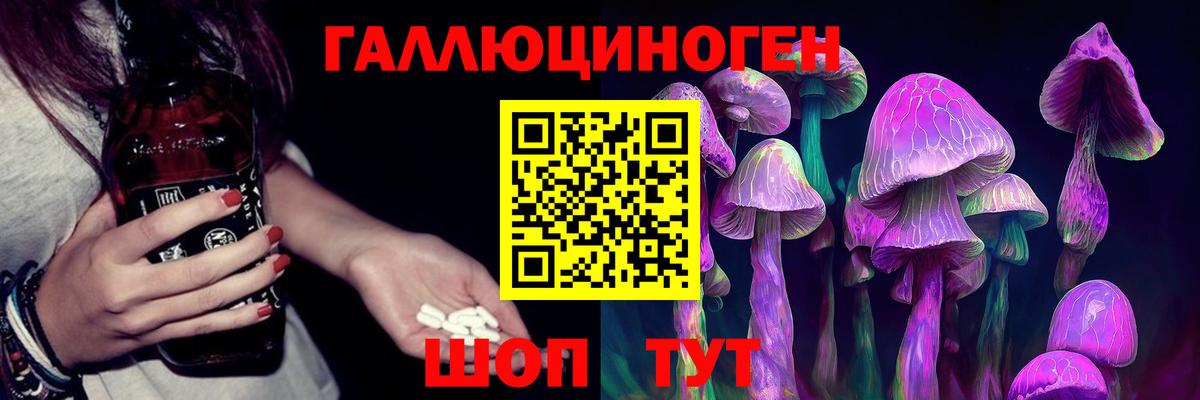 Псилоцибиновые грибы GOLDEN TEACHER  Вход с VPN  Советская Гавань 