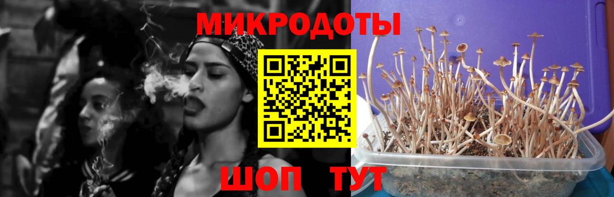 Гашиш Советская Гавань